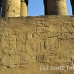 temple_luxor_lux_h_0181_egy3666.jpg